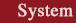 System